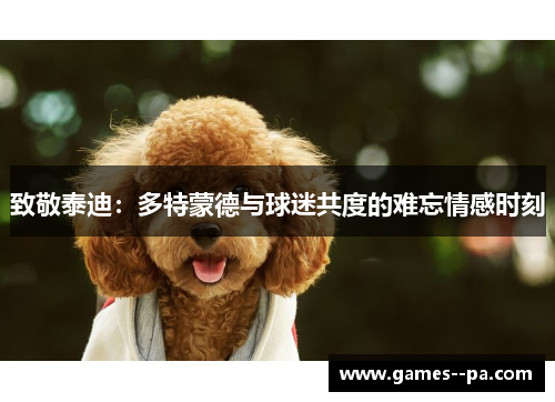 致敬泰迪：多特蒙德与球迷共度的难忘情感时刻