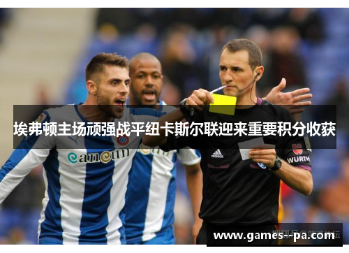 埃弗顿主场顽强战平纽卡斯尔联迎来重要积分收获